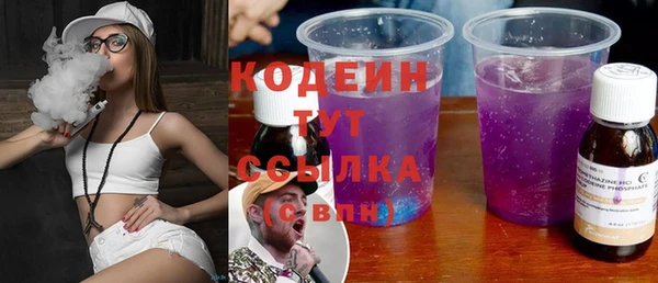индика Семилуки